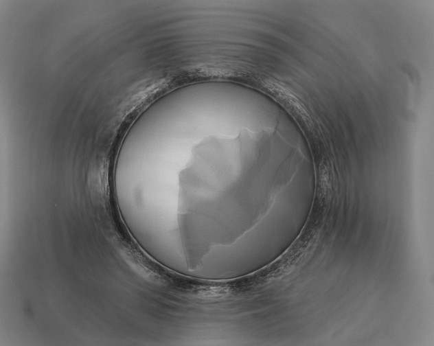 X0000115090398200911101528
