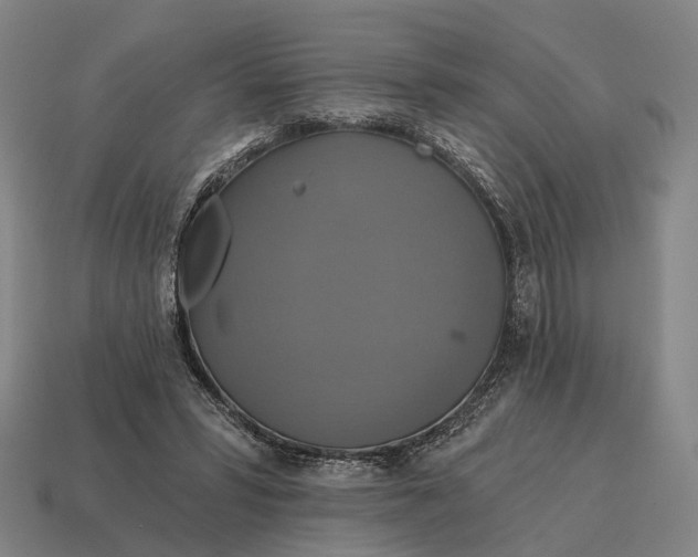 X0000115090399200911101528
