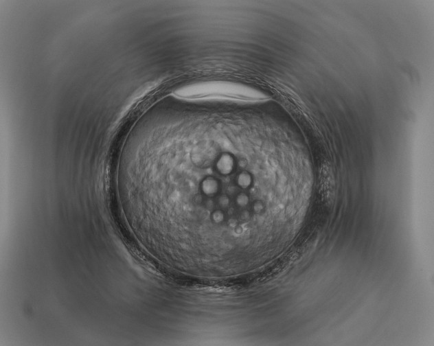 X0000115090400200911101528