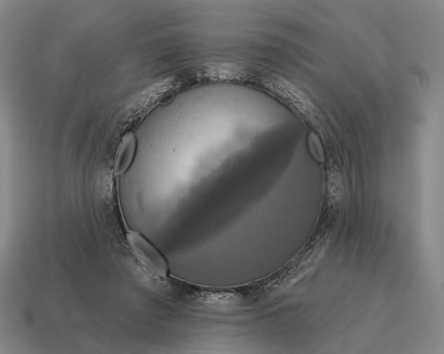 X0000115090401200911101528