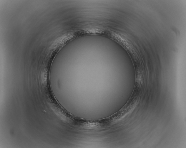 X0000115090402200911101528