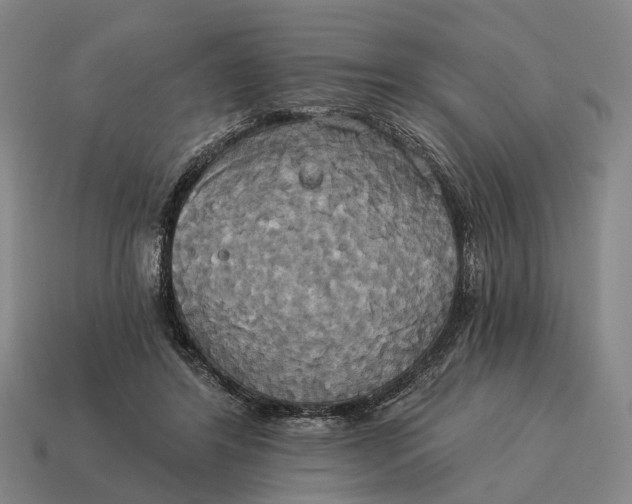 X0000115090404200911101528