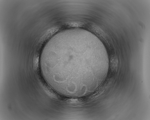 X0000115090406200911101528