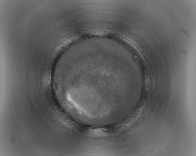 X0000115090407200911101528