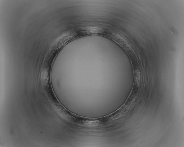 X0000115090410200911101528