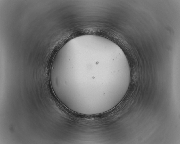 X0000115090411200911101528