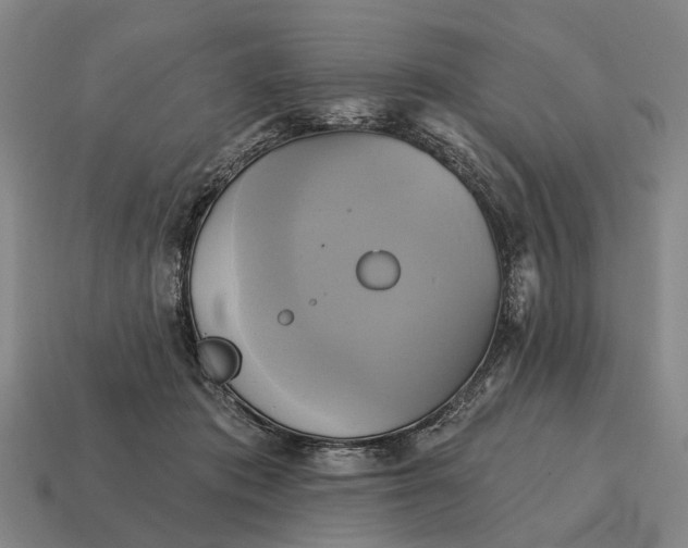 X0000115090413200911101528