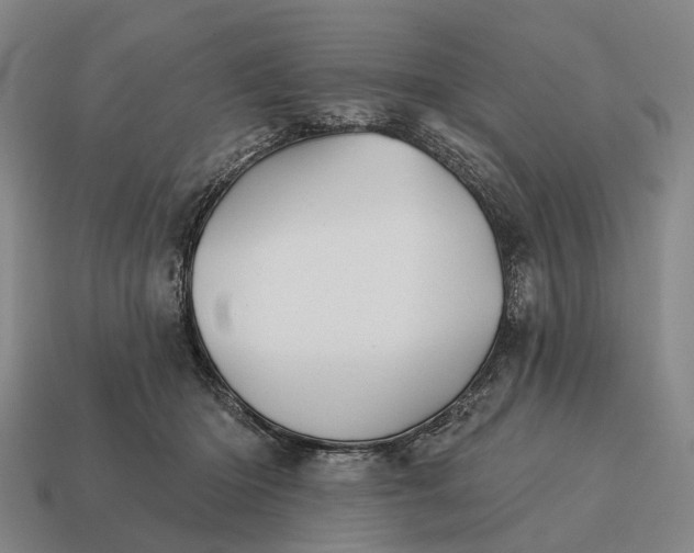 X0000115090414200911101528