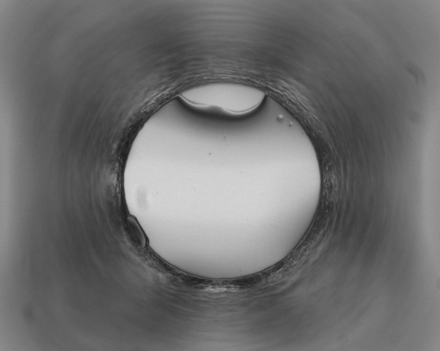 X0000115090415200911101528