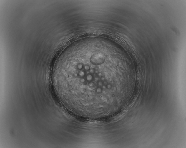 X0000115090416200911101528