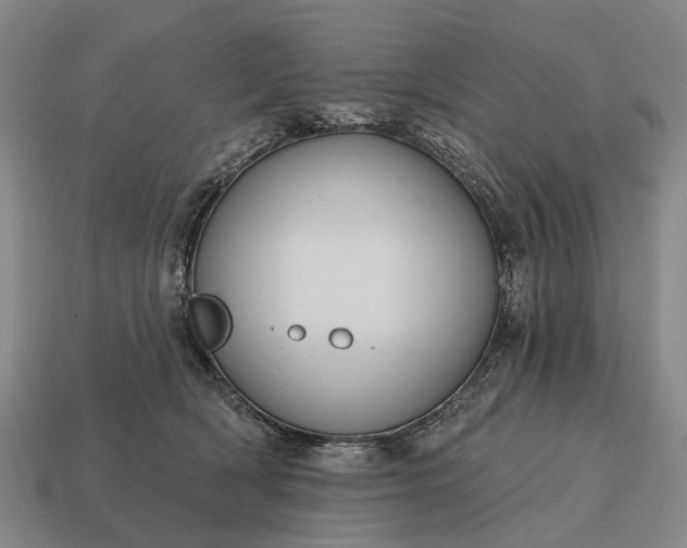 X0000115090418200911101528