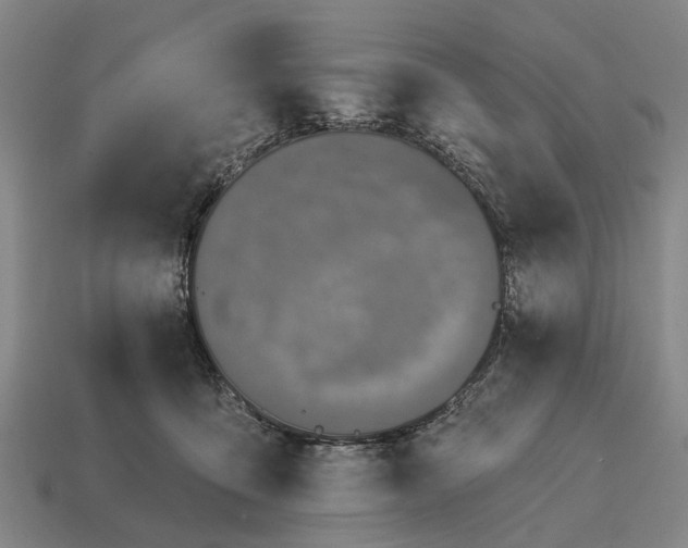 X0000115090419200911101528