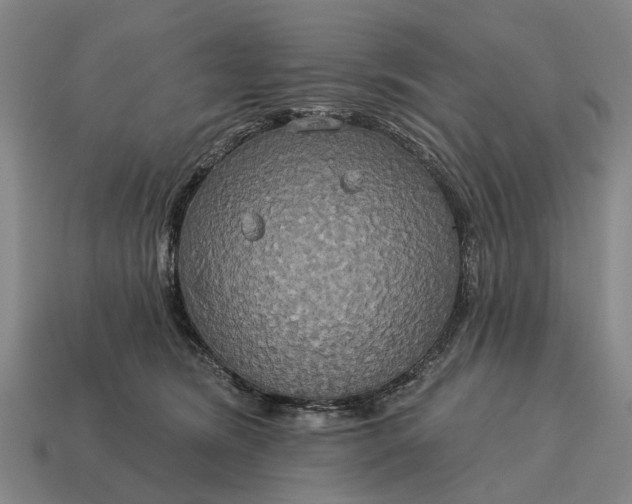 X0000115090420200911101528