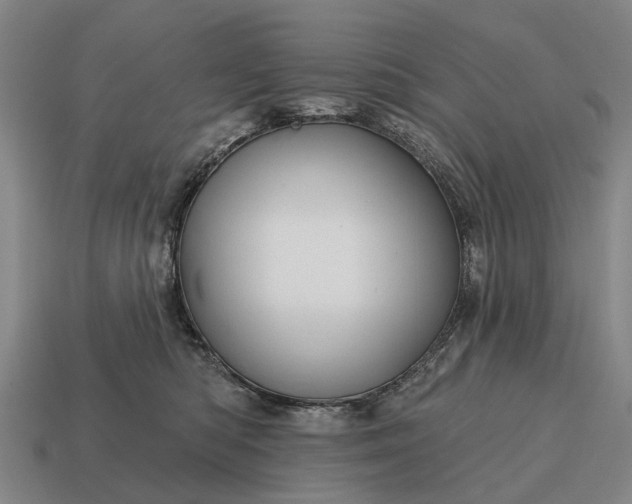 X0000115090422200911101528