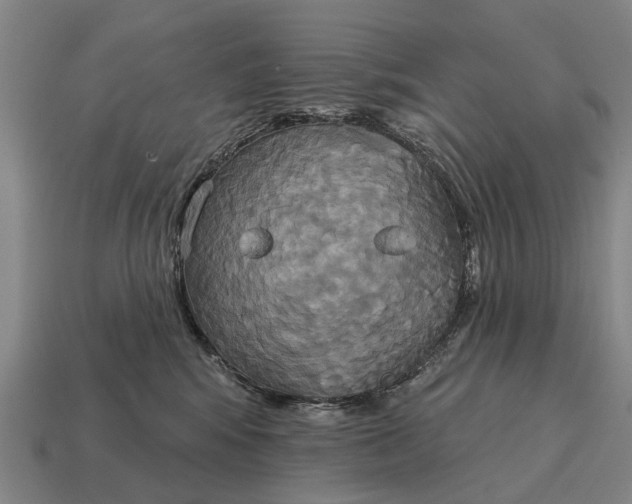 X0000115090424200911101527