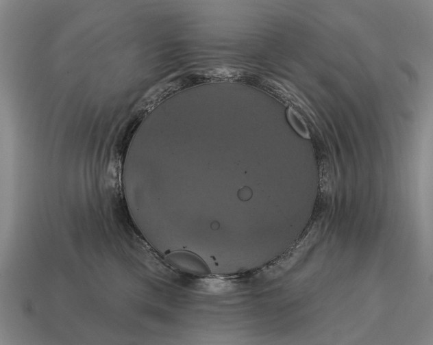 X0000115090425200911101527