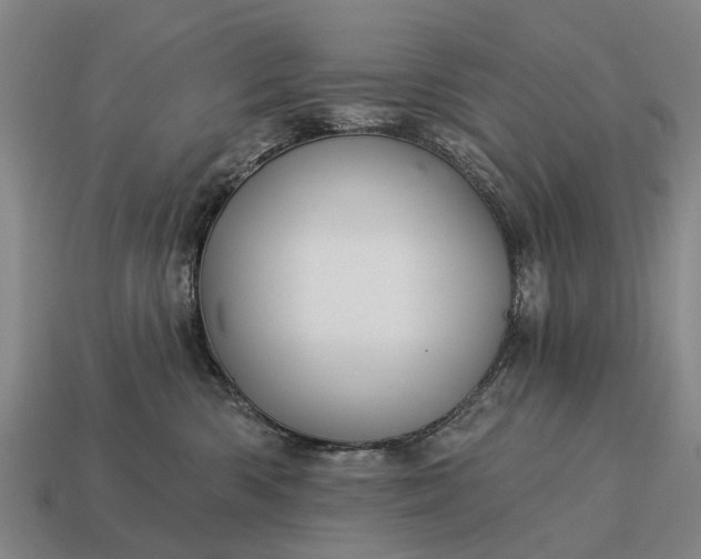 X0000115090426200911101527
