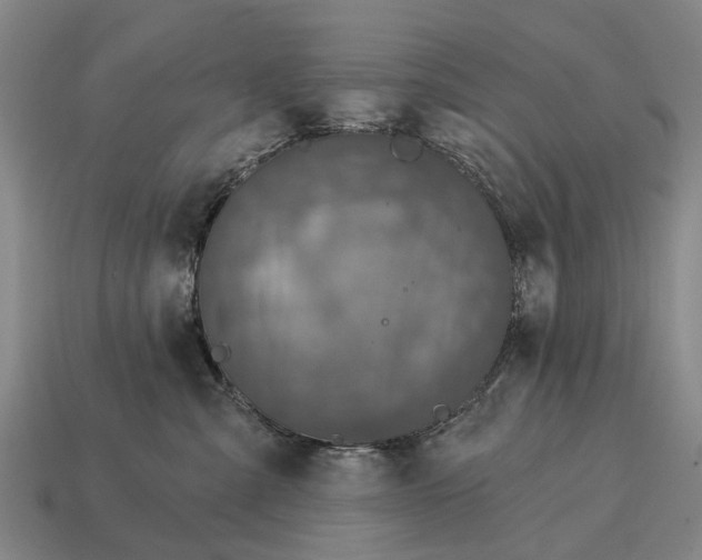 X0000115090427200911101527