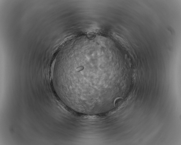 X0000115090428200911101527