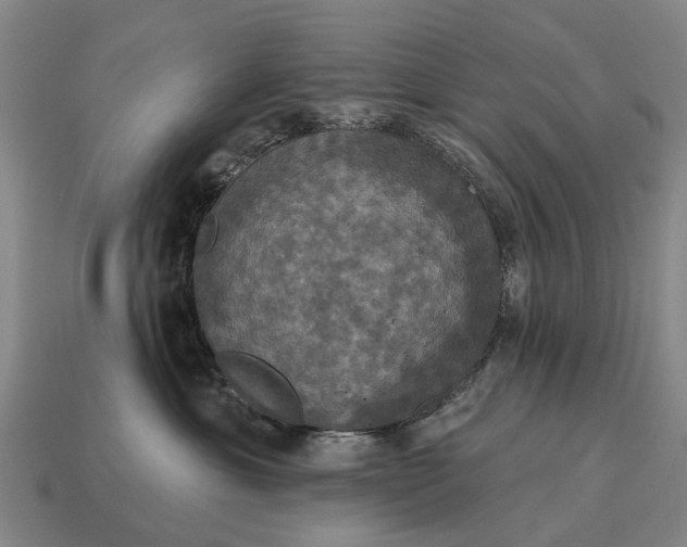 X0000115090429200911101527