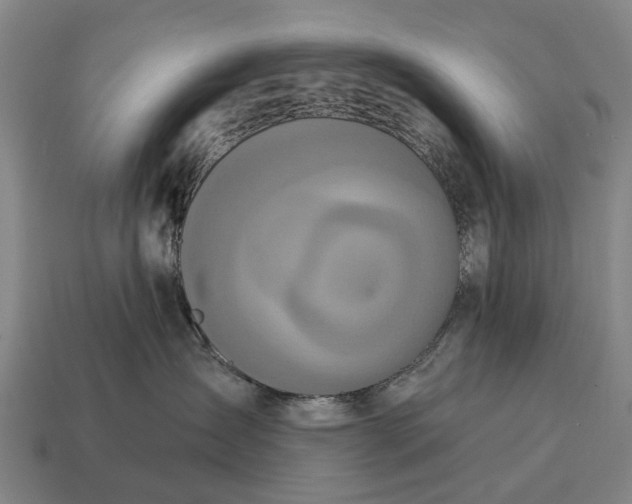 X0000115090431200911101527