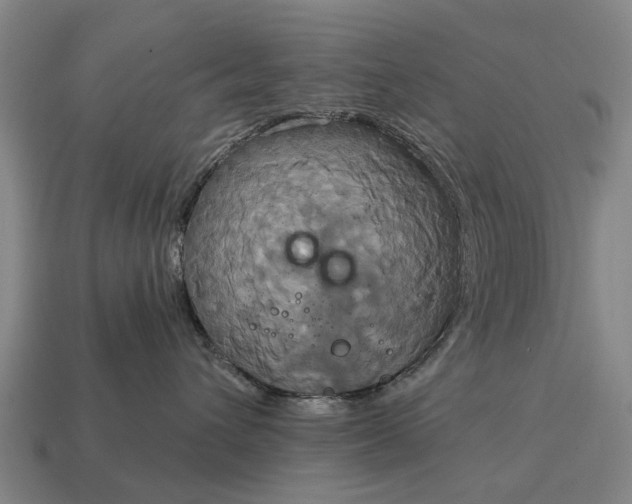 X0000115090432200911101527