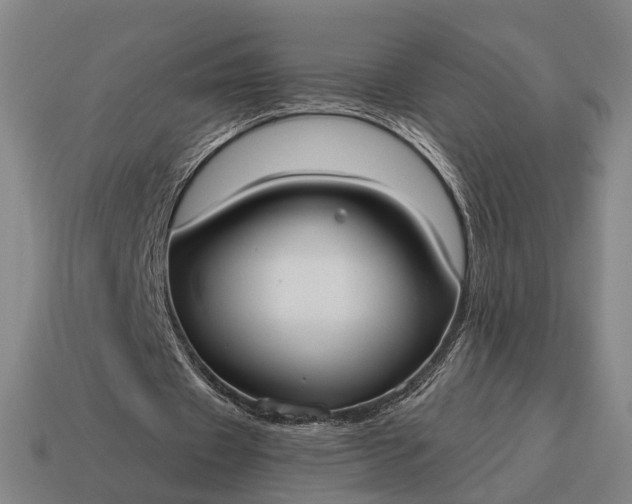 X0000115090433200911101527