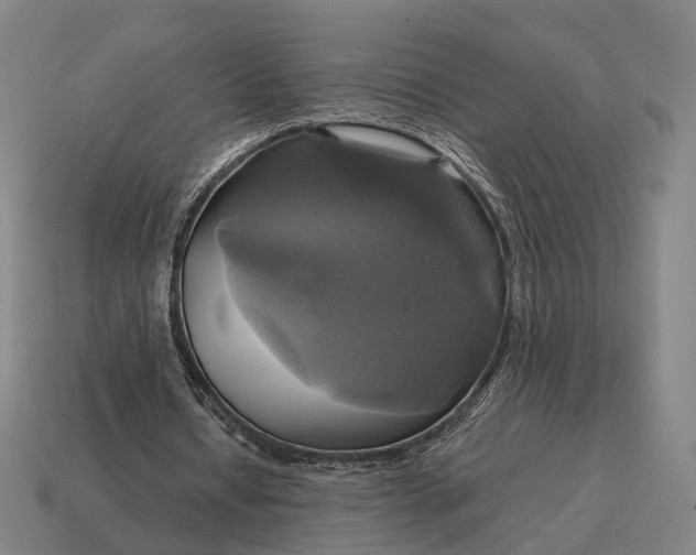 X0000115090434200911101527