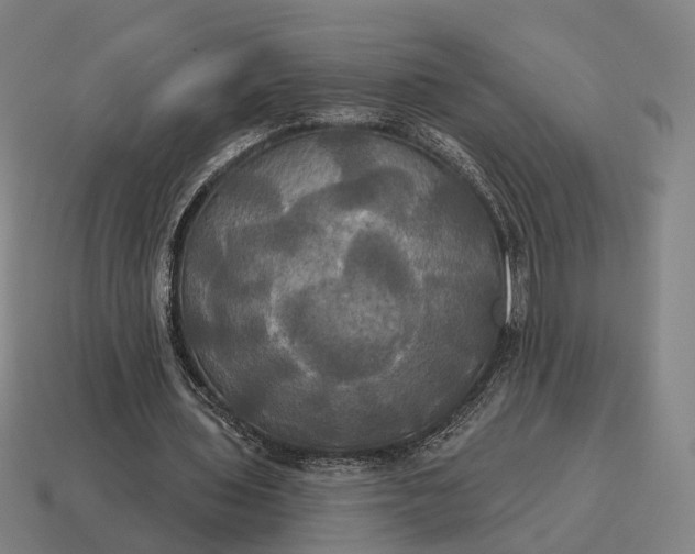 X0000115090435200911101527
