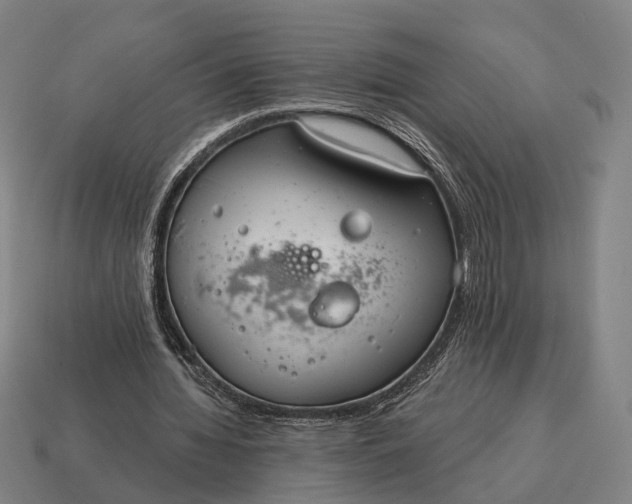X0000115090436200911101527
