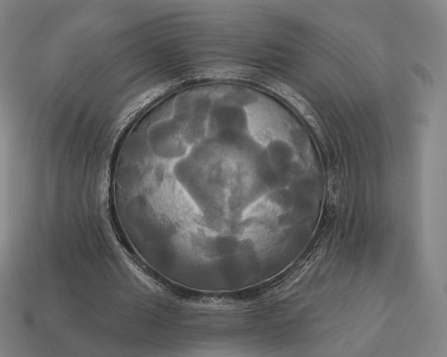 X0000115090437200911101527