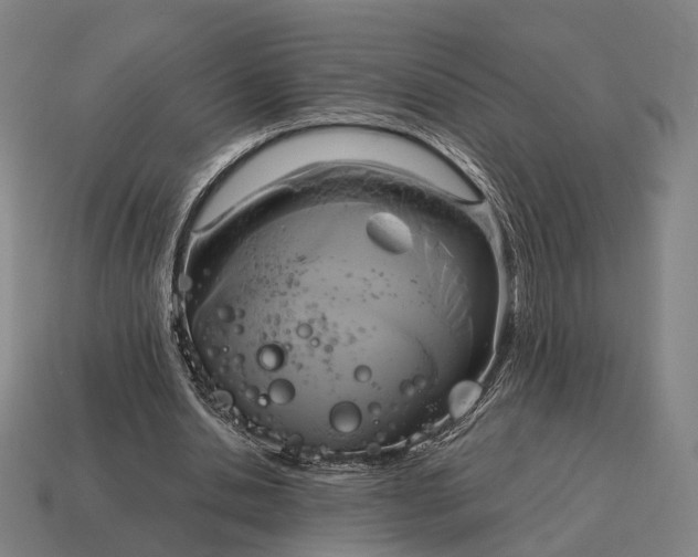 X0000115090438200911101527