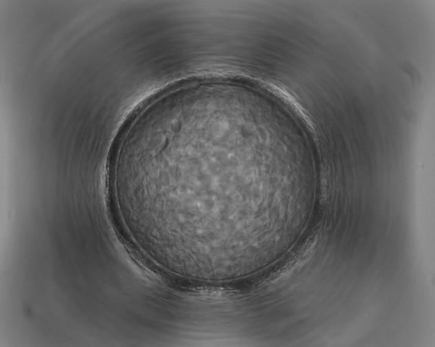 X0000115090439200911101527