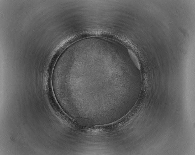 X0000115090440200911101527