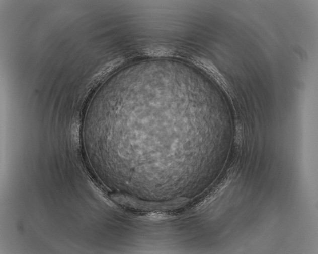 X0000115090441200911101527