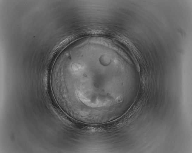 X0000115090442200911101527