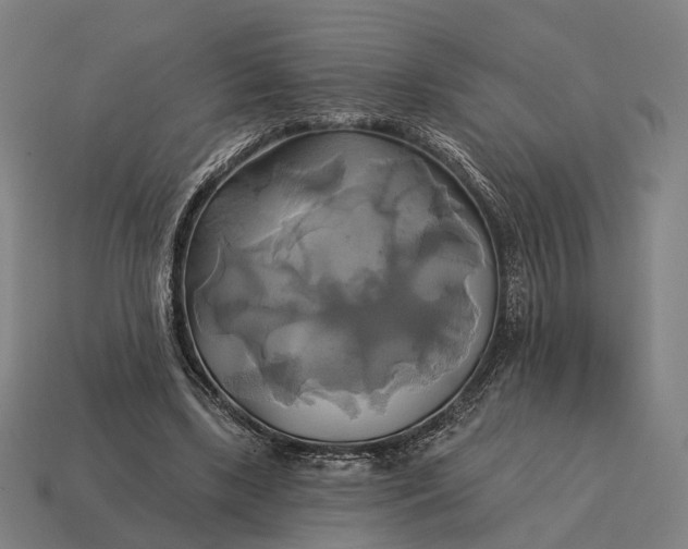 X0000115090443200911101527