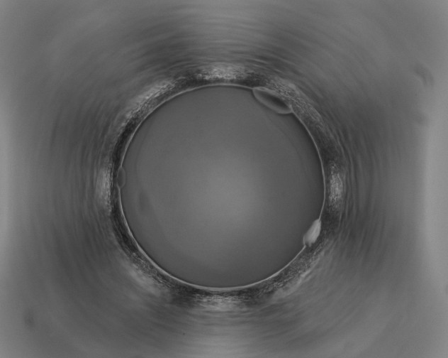 X0000115090444200911101527