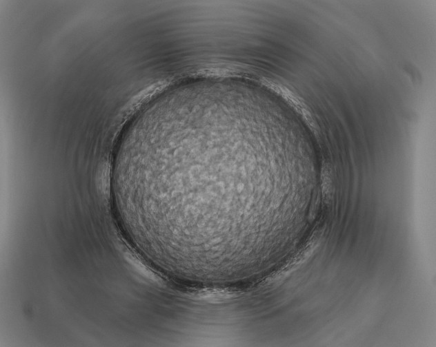X0000115090445200911101527