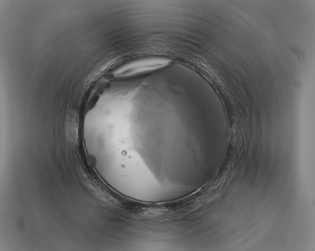X0000115090446200911101527