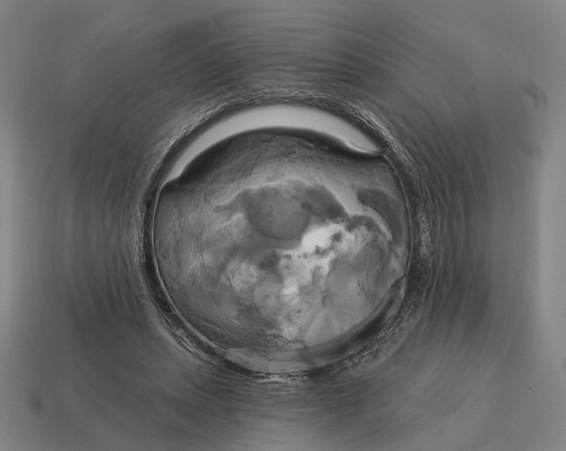 X0000115090447200911101527