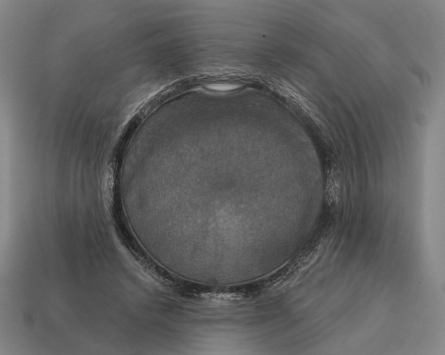X0000115090448200911101527