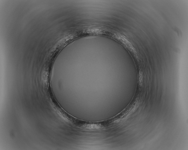 X0000115090449200911101527