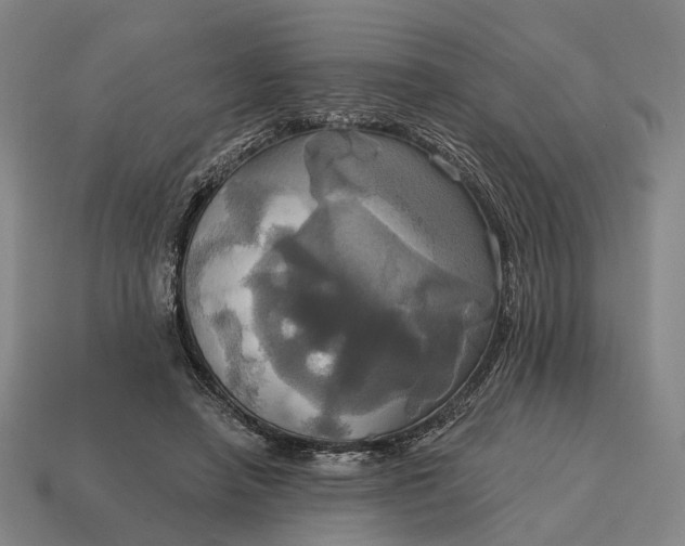 X0000115090450200911101527