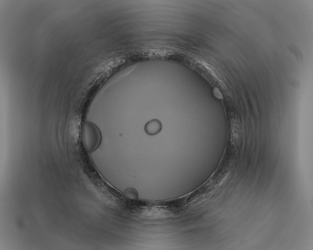 X0000115090451200911101527