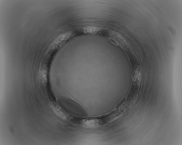 X0000115090452200911101527