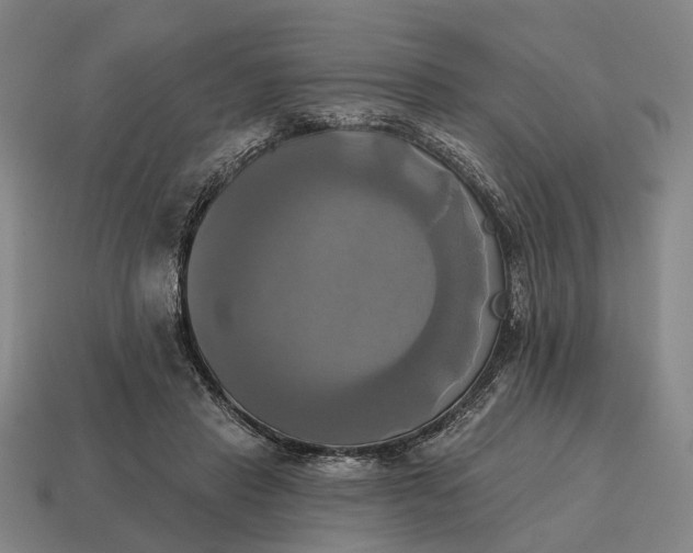 X0000115090453200911101527