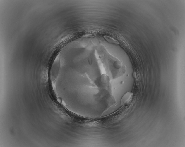 X0000115090454200911101527