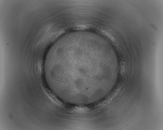 X0000115090455200911101527
