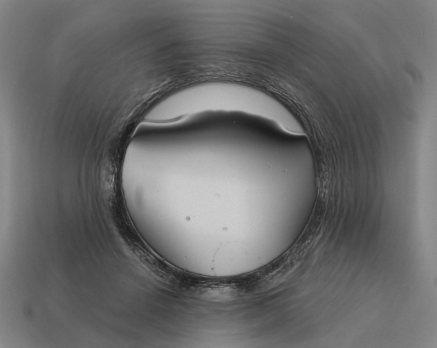 X0000115090456200911101527
